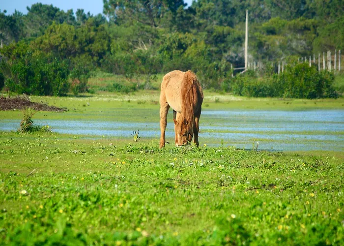 Herdade Monte Do Sol